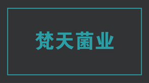 食品行业保定冲锋衣设计款式